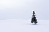 The Christmas Tree of Biei