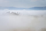 Misty Morning at Poggio Covili