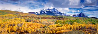 Golden Aspen Path to the Rockies