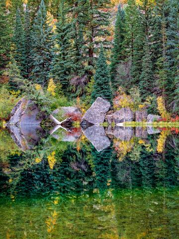 Lizard Lake's Nature Mirror