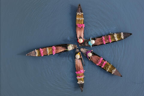 Dance of the Waterlilies