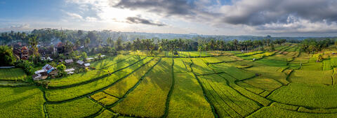 Sunrise Over Bali's Rice Terraces Panoramic