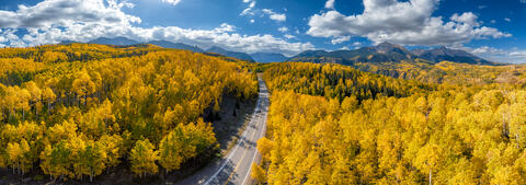 Golden Veil: Telluride's Aspen Tapestry