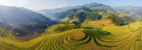 Verdant Patterns of Mu Cang Chai