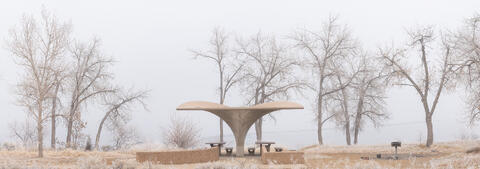Whale Tail Shelter in the Fog