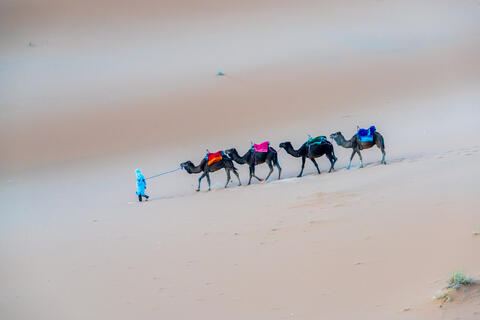 Desert Nomad
