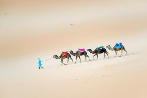Journey Through the Sands