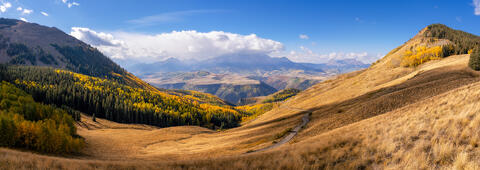 Autumn's Grandeur on Last Dollar Road