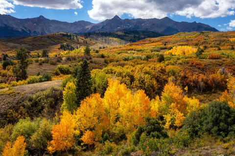 Autumn's Layers: Dallas Divide, Ridgway