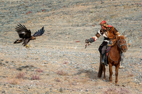 Calling Your Eagle Home