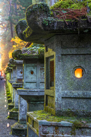 Luminous Trails of Nikko