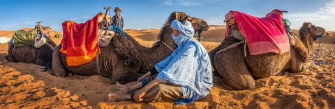 Desert Pause