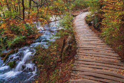 Autumn Pathways Unveiled