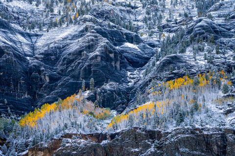 Snow-Kissed Heights: San Juan Aspens in Autumn