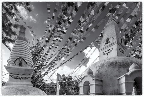 Harmony in Stone and Strings