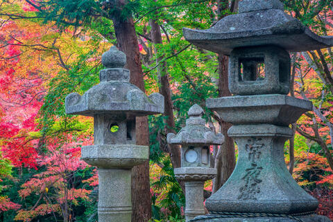 Foliage Symphony at Kiyomizu-dera