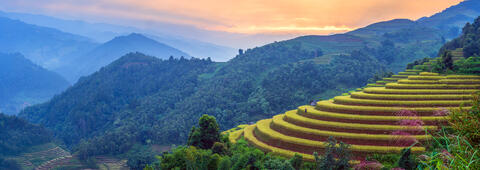 Dawn Over Terraced Fields