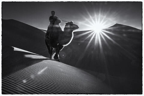 Desert Harmony: Woman and Camel