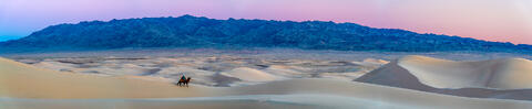 Desert Dawn Journey