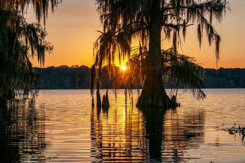 Sunset on the Swamp