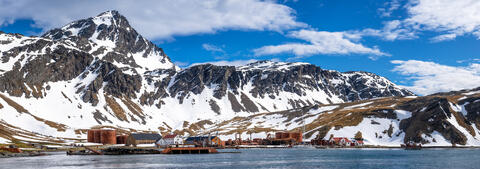Echoes of Grytviken