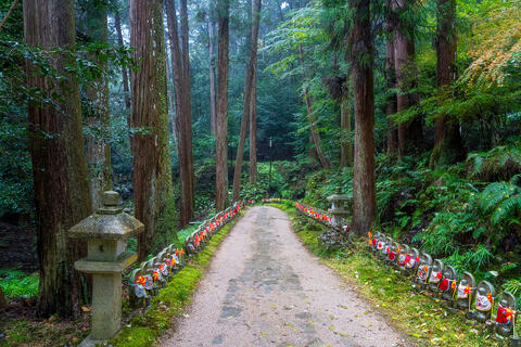 Rainy Tranquility: Kongorin-Ji Temple Path