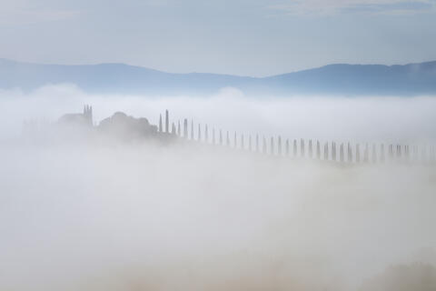 Misty Morning at Poggio Covili