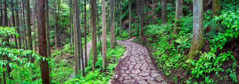 Walking the Magome/Tsumago Trail Panoramic