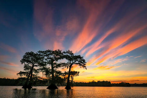 Sunrise Flames