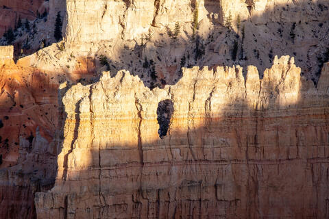 Nature's Window