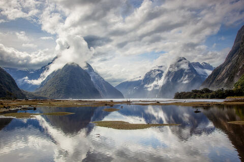 Milford Sound Reflections