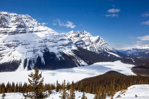 Peyto Lake Blanketed in Spring Snow