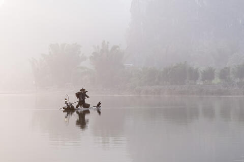 Fishing in the Mist