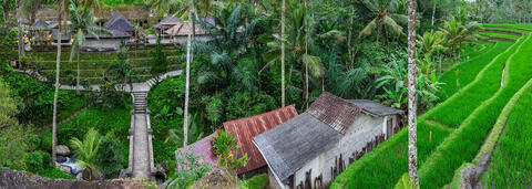 Gunung Kawi Temple and Terraces Panoramic
