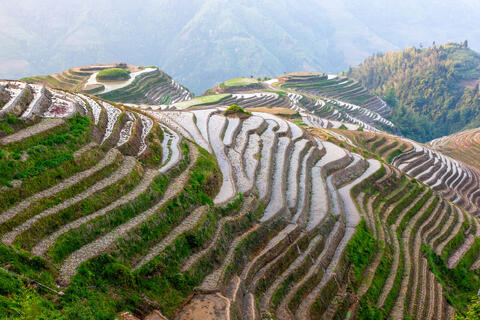 Flooded Rice Terraces in Longji, China