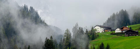 Mist-Shrouded Homesteads