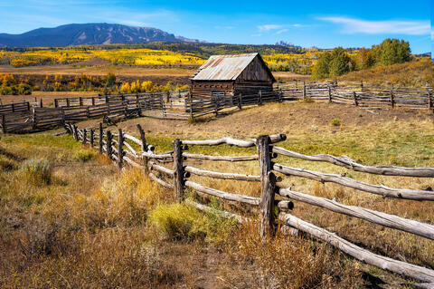 Autumn Splendor on Ohio Pass