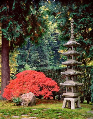 Pagoda Statue and Fall Colors
