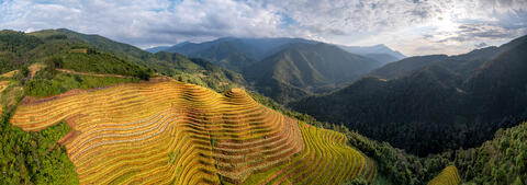  Golden Harvest Horizon