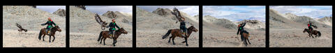 Eagle Hunter Call Sequence