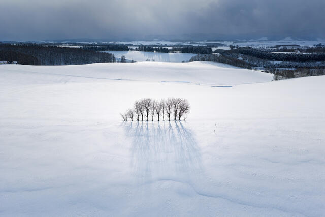 Winter Silence Near Asahikawa