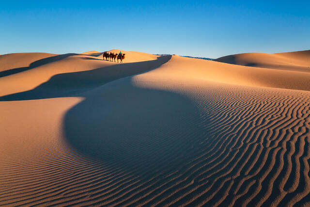 Sands in Motion