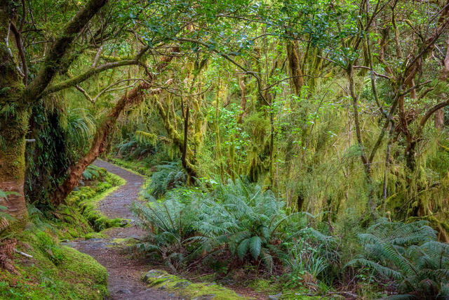 The Milford Track