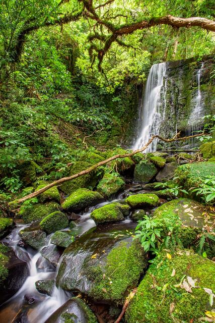 Matai Falls: Nature's Verdant Cascade