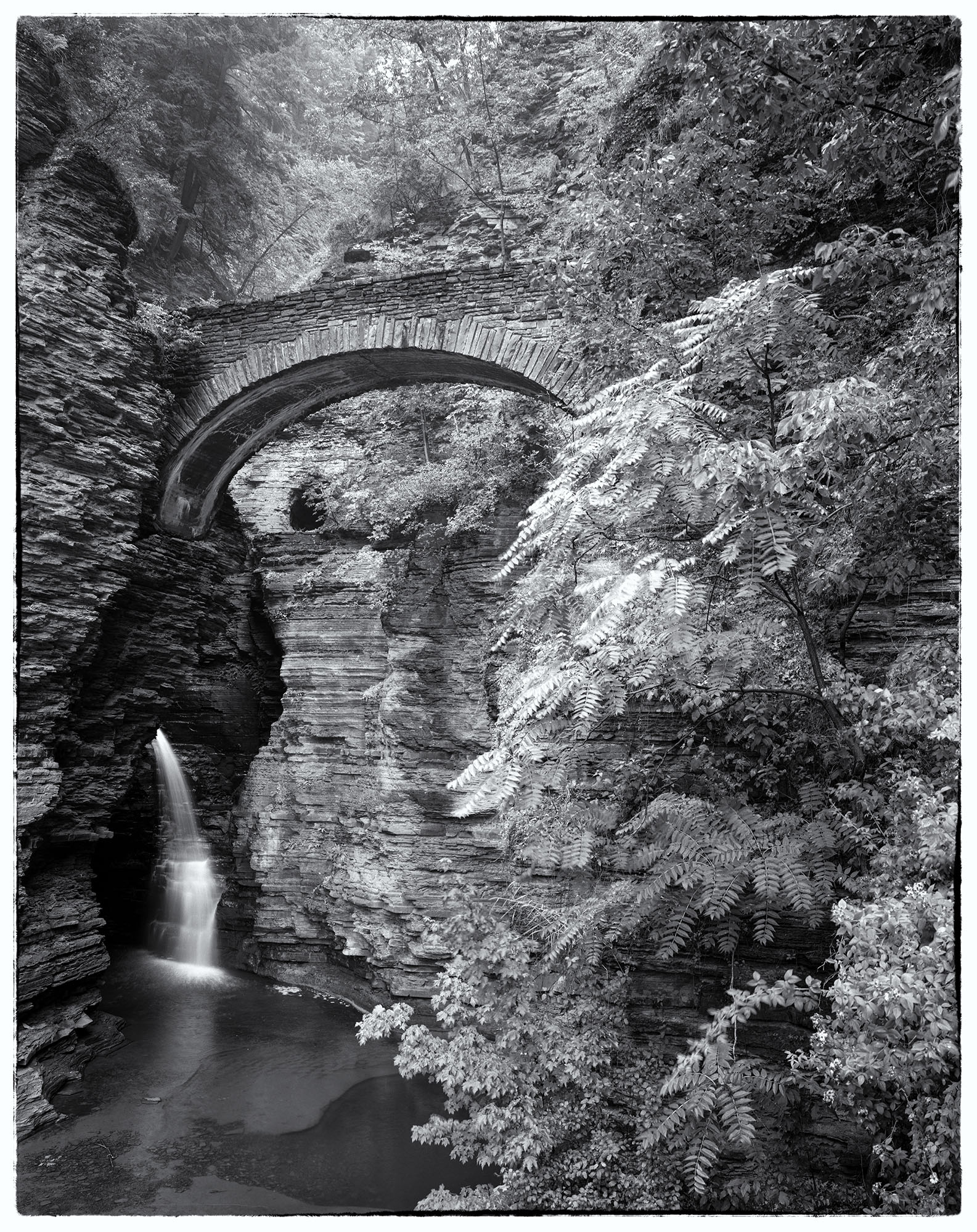 Stone Bridge in the Glen Captured with my Ebony SV45Te View Camera and Kodak TMax film, this black and white vertical image showcases a sturdy stone bridge...