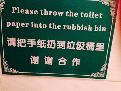 Garbage bin gets interesting