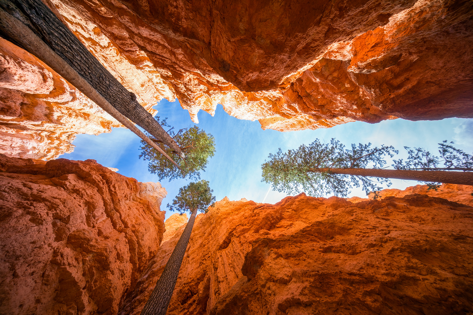 Captured in Bryce Canyon National Park, Utah, this image showcases the awe-inspiring beauty of Wall Street, a renowned hiking...