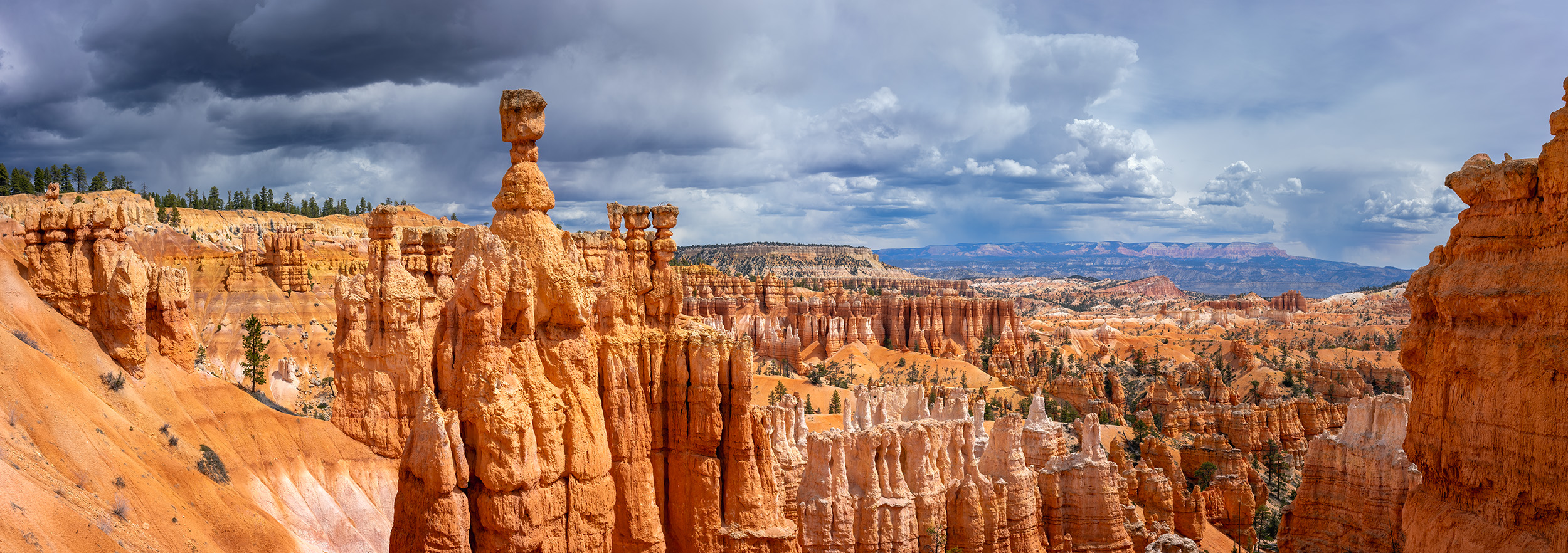 This striking panoramic image captures the iconic Thor's Hammer in Bryce Canyon, Utah. Bathed in brilliant light, the rock formations...