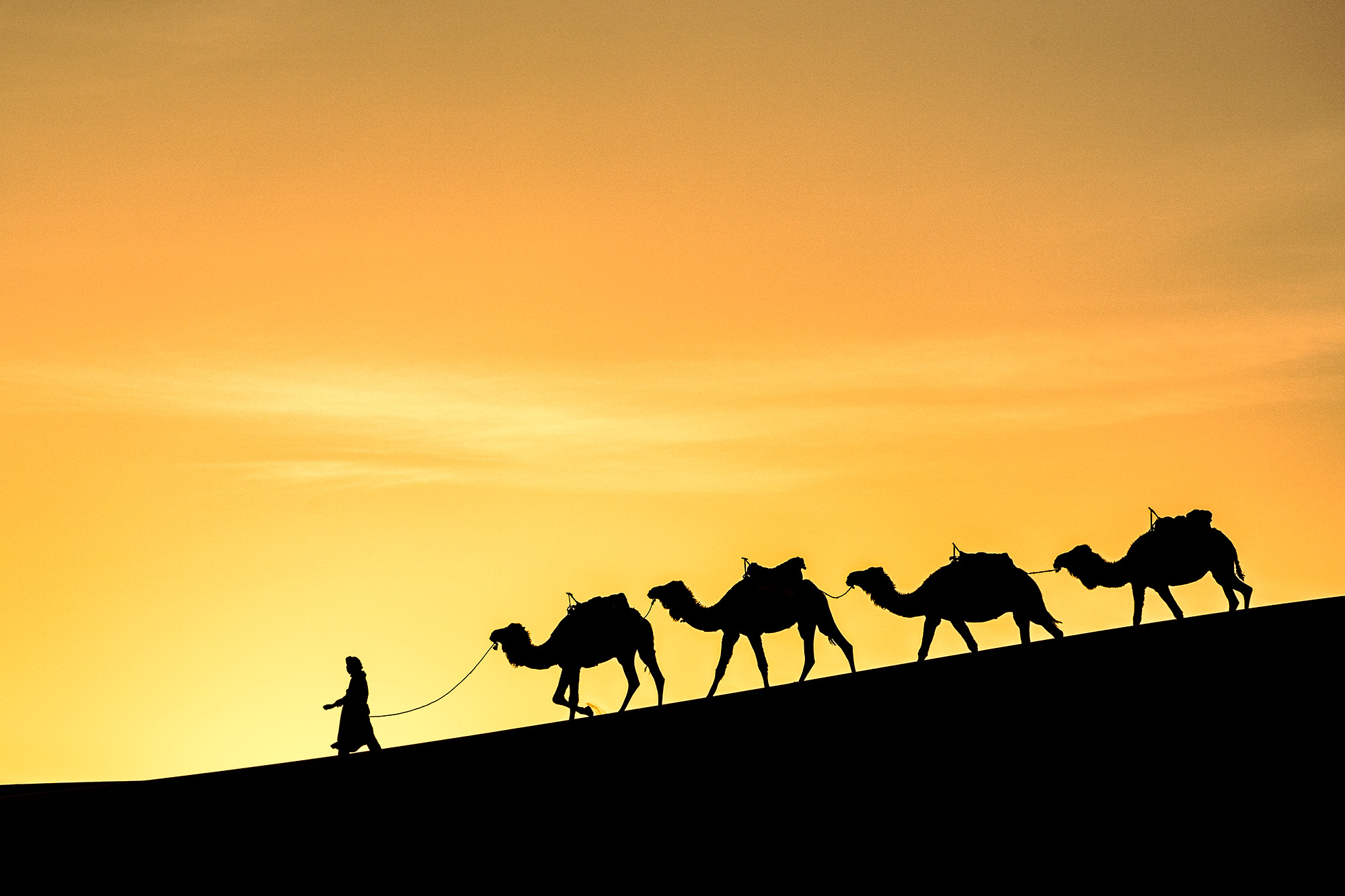 Sands of Dawn Captured in Merzouga, Morocco, amidst the vast expanse of the Sahara desert, "Sands of Dawn" offers a mesmerizing scene. The...