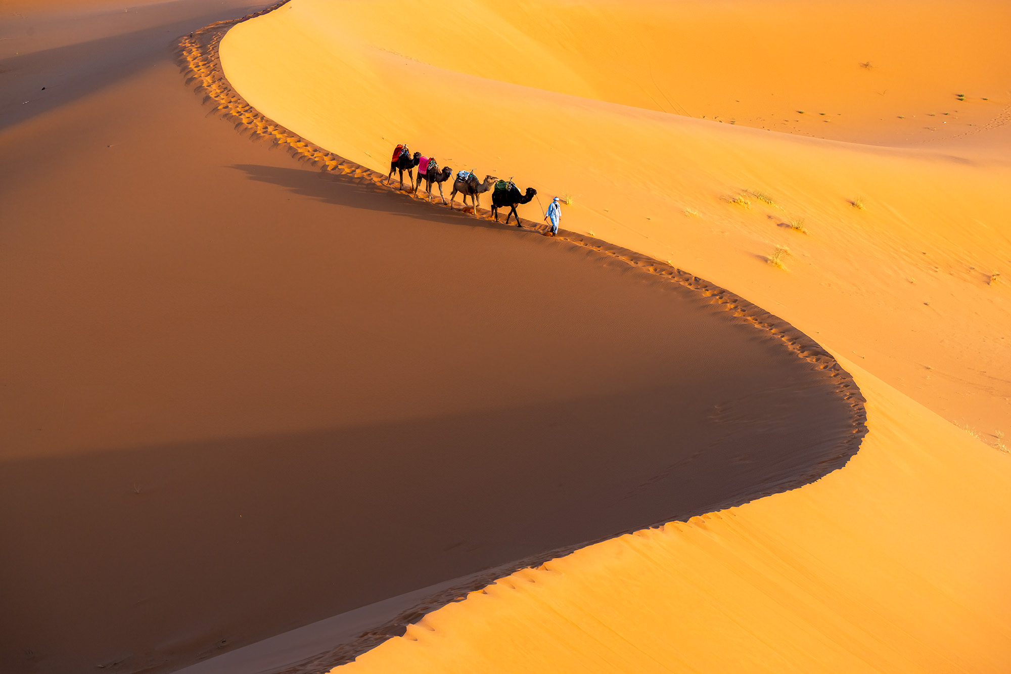 Desert Rhythms In the heart of Merzouga, Morocco, under the Saharan sun, I captured a moment just after dawn. This image unfolds on the shifting...